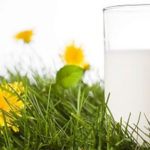 En France, la distribution s’engage à payer plus cher le lait
